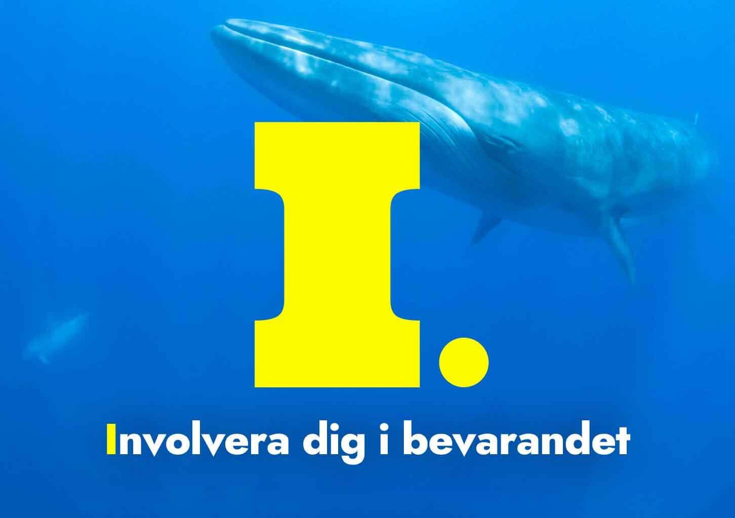 Involvera dig i bevarandet