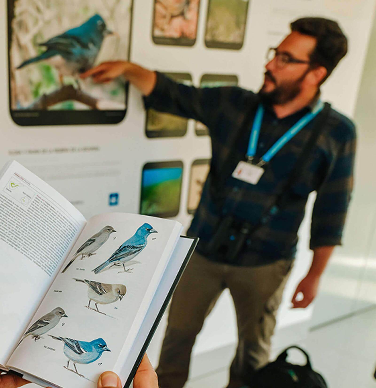 Guiden förklarar och pekar på bilden av en blåfink på en informationstavla vid utsiktsplatsen.