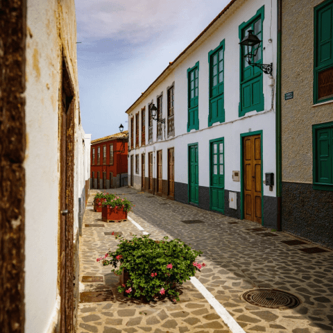 agulo