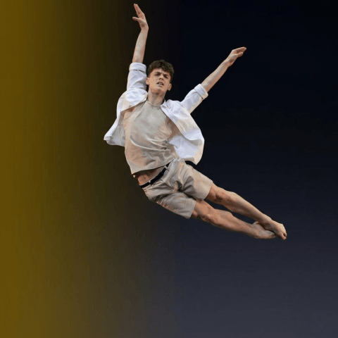 global_dance_open_canarias