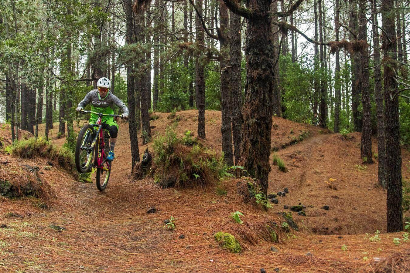 Mountain bike. La Palma