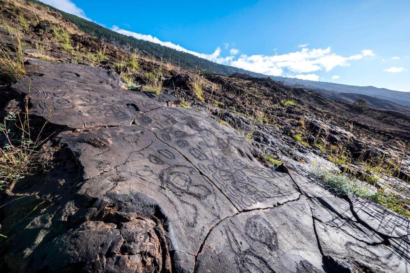 Petroglifos. El Hierro.
