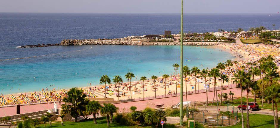 Playa de Amadores Populära stränder på Gran Canaria
