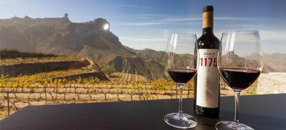 Bodega Bentayga på Gran Canaria