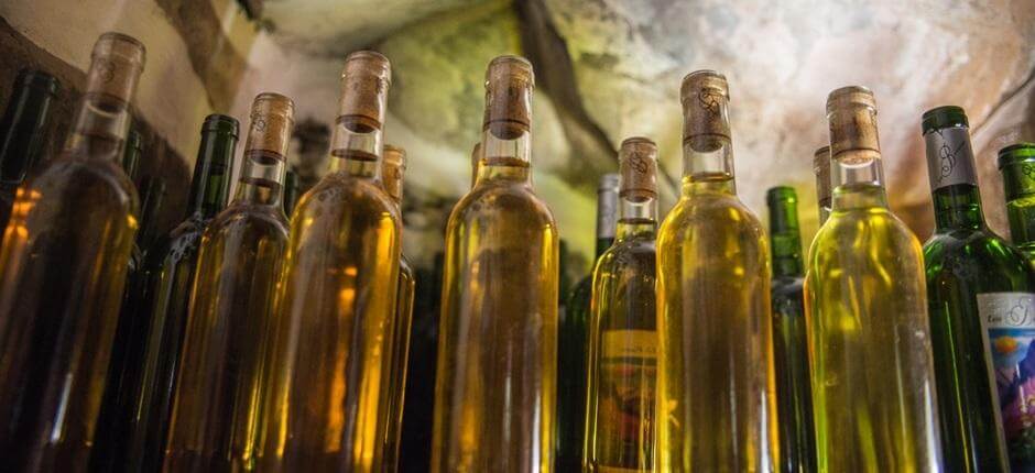 Bodegas Los Berrazales+ Vinkällare på Gran Canaria