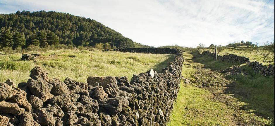 Camino de la Virgen + Vandringsleder på El Hierro