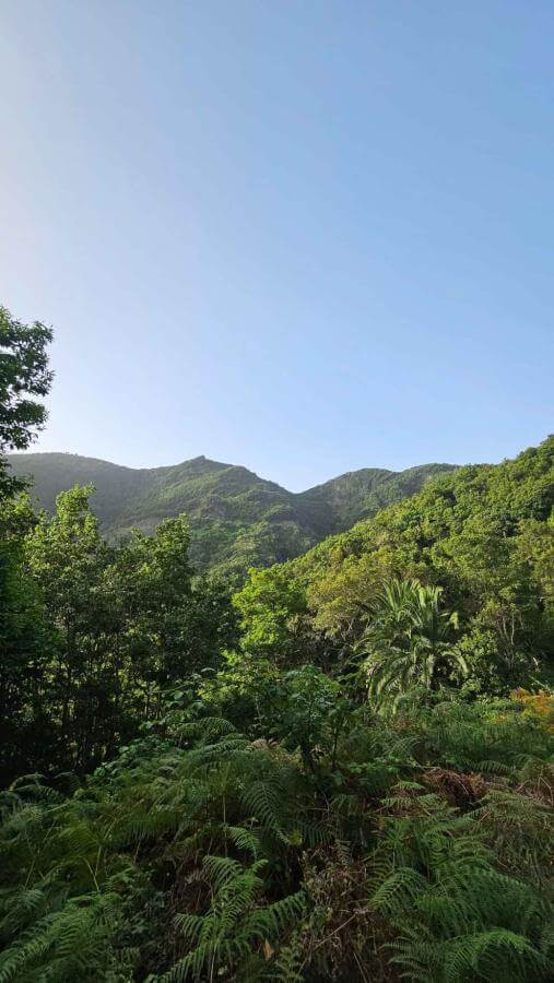 La Meseta de Hermigua