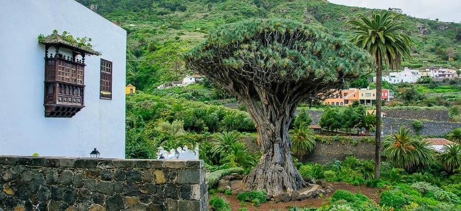 Icod de los Vinos historiska stadsdel + Historiska stadsdelar på Teneriffa