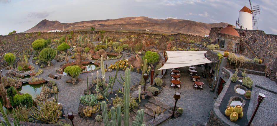 Kaktusträdgård Muséer och turistcenter på Lanzarote