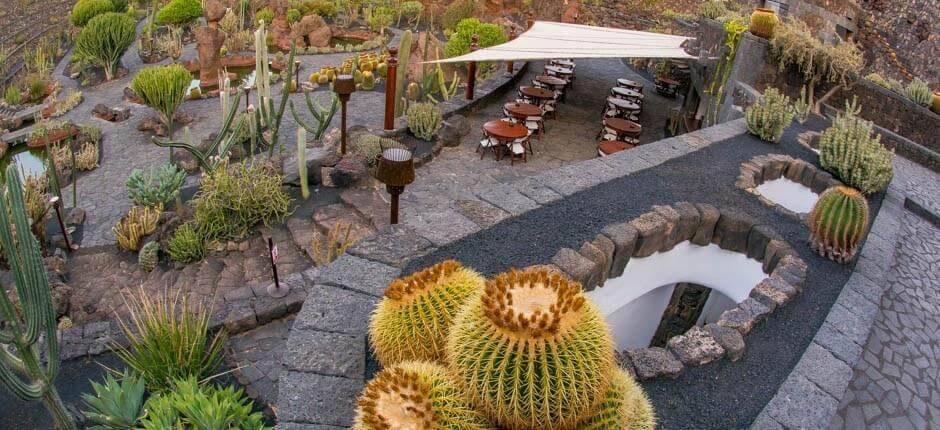Kaktusträdgård Muséer och turistcenter på Lanzarote