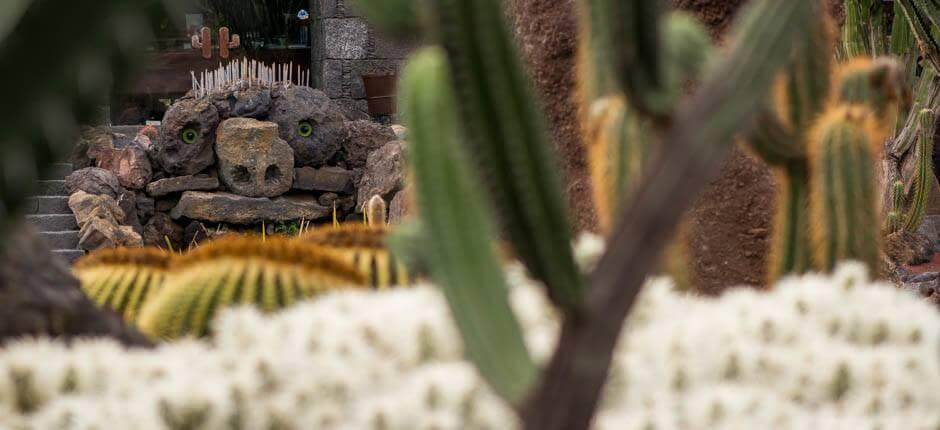 Kaktusträdgård Muséer och turistcenter på Lanzarote