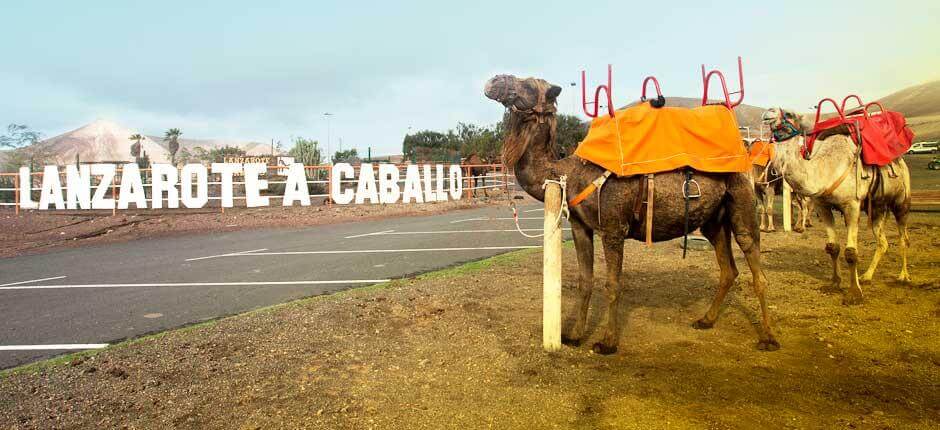 Lanzarote a Caballo Turistattraktioner på Lanzarote