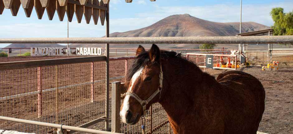 Lanzarote a Caballo Turistattraktioner på Lanzarote