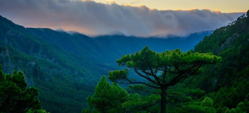 La Cumbrecita utsiktsplats på La Palma