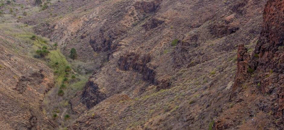 Degollada de las Yeguas utsiktsplats på Gran Canaria