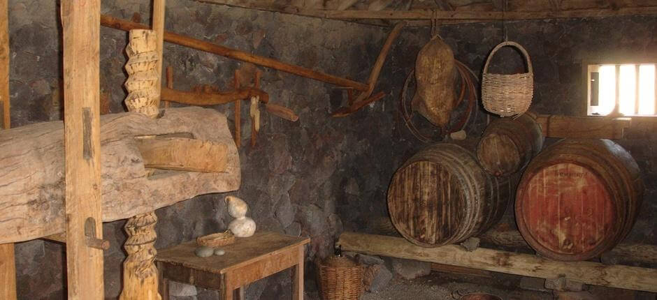 Museo del Vino de La Palma + Vinkällare på La Palma