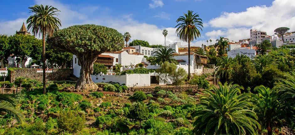 Parque del Drago Milenario Muséer och turistcenter på Teneriffa