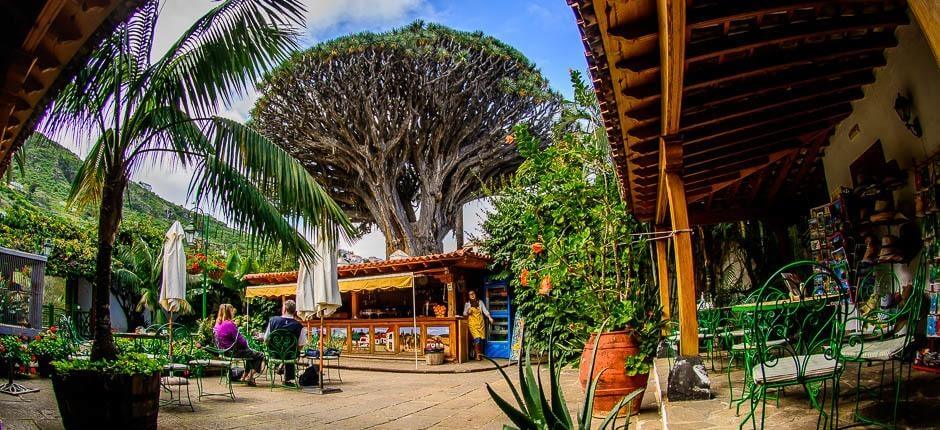 Parque del Drago Milenario Muséer och turistcenter på Teneriffa