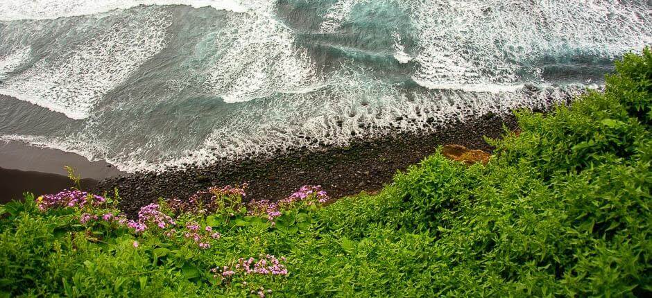 Playa de Los Patos + Orörda stränder på Teneriffa