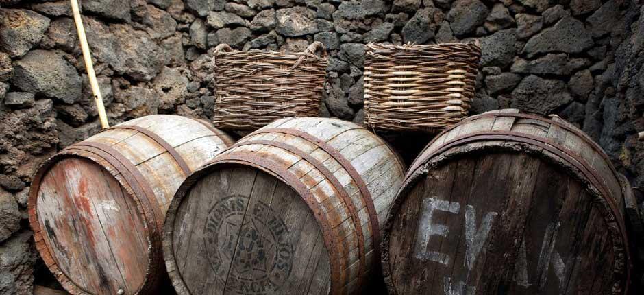 Ecomuseo de Guinea Muséer och turistcenter på El Hierro