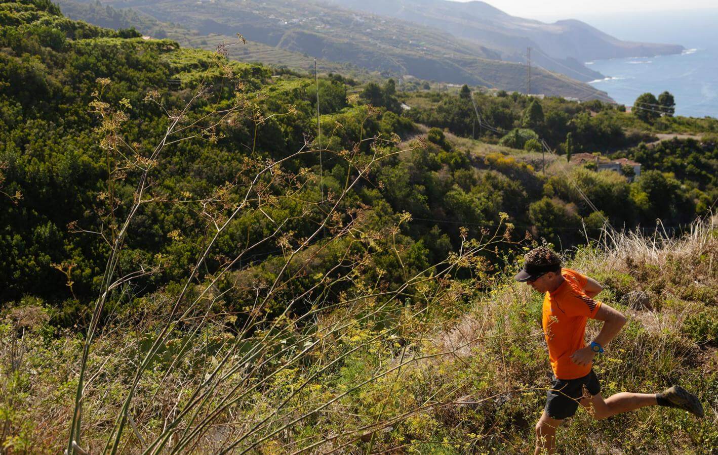 Roque Faro - Villa de Garafía-Trail