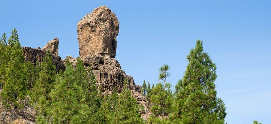 Roque Nublo + Senderos de Gran Canaria