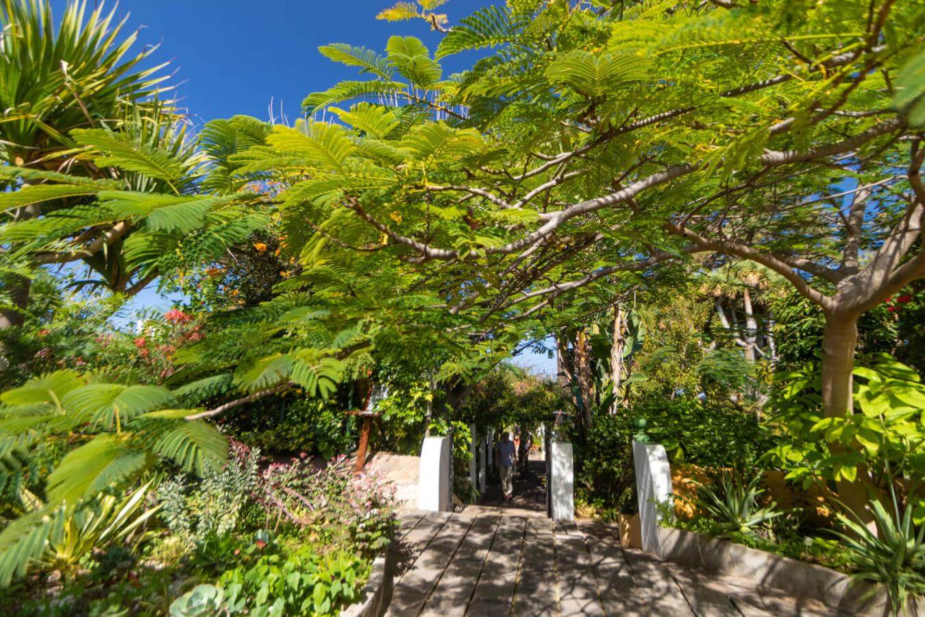 Jardín de Orquídeas Sitio Litre