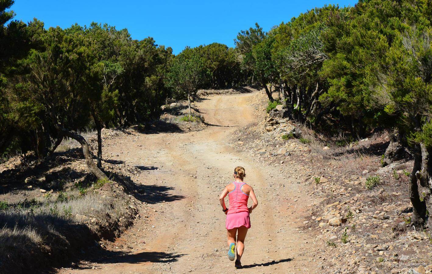 Valle Gran Rey-Trail