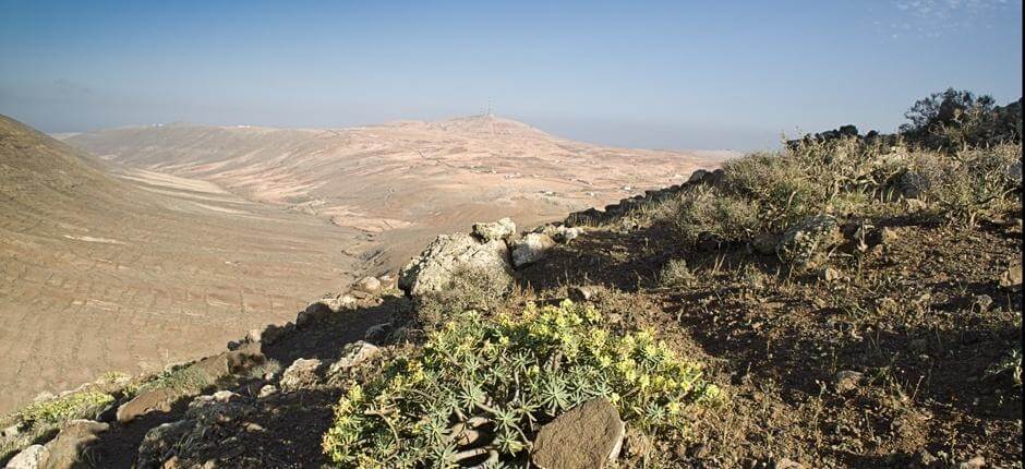 Vallebrón + Vandringsleder på Fuerteventura