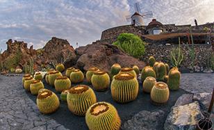 Jardín del Cactus